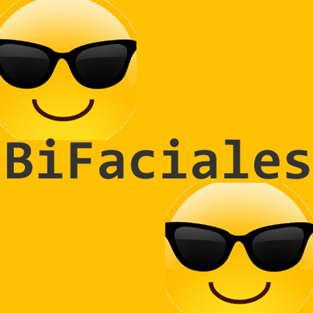 Imagem para a categoria Modulos bifaciales